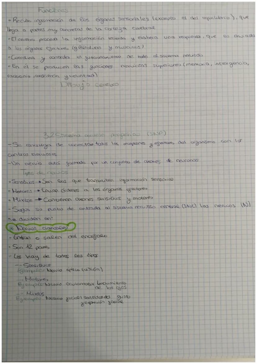 a
3 EVALUACIÓN
Contenidos
1 La función de relación
2 La neurona
3. El sistema nervioso
4 El sistema endocrino
la comente nerviosa
tema 5 Sis