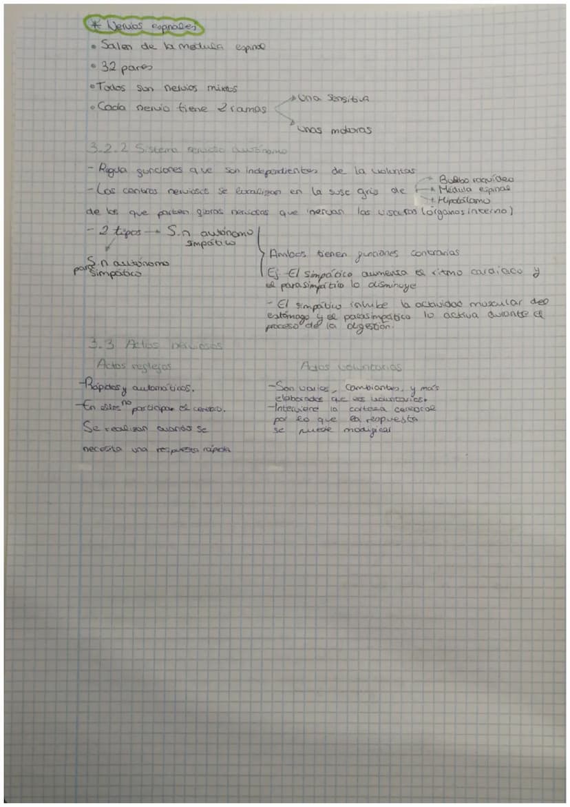 a
3 EVALUACIÓN
Contenidos
1 La función de relación
2 La neurona
3. El sistema nervioso
4 El sistema endocrino
la comente nerviosa
tema 5 Sis