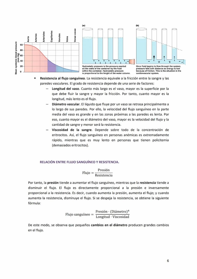 TEMA 13. FÍSICA DE LA SANGRE Y SISTEMA CIRCULATORIO
1. SISTEMA CARDIOVASCULAR.
El sistema cardiovascular está formado por el corazón, los va