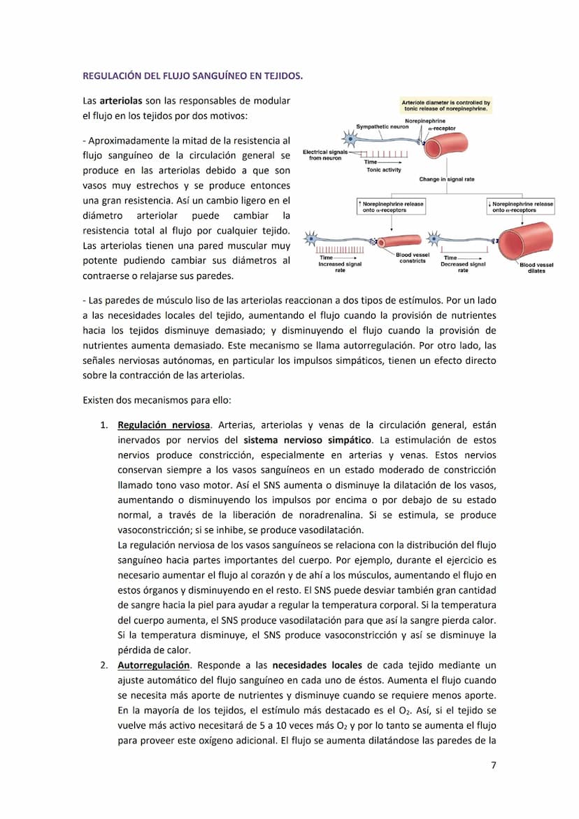 TEMA 13. FÍSICA DE LA SANGRE Y SISTEMA CIRCULATORIO
1. SISTEMA CARDIOVASCULAR.
El sistema cardiovascular está formado por el corazón, los va