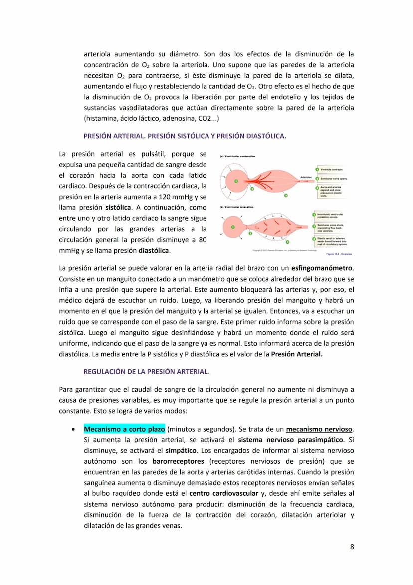 TEMA 13. FÍSICA DE LA SANGRE Y SISTEMA CIRCULATORIO
1. SISTEMA CARDIOVASCULAR.
El sistema cardiovascular está formado por el corazón, los va