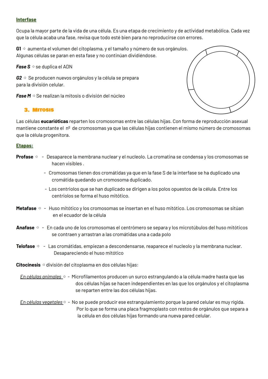 1. INFORMACIÓN GENÉTICA
ELADN (ácido desoxirribonucleico):
Molécula que contiene la información genética para fabricar las proteínas de la c