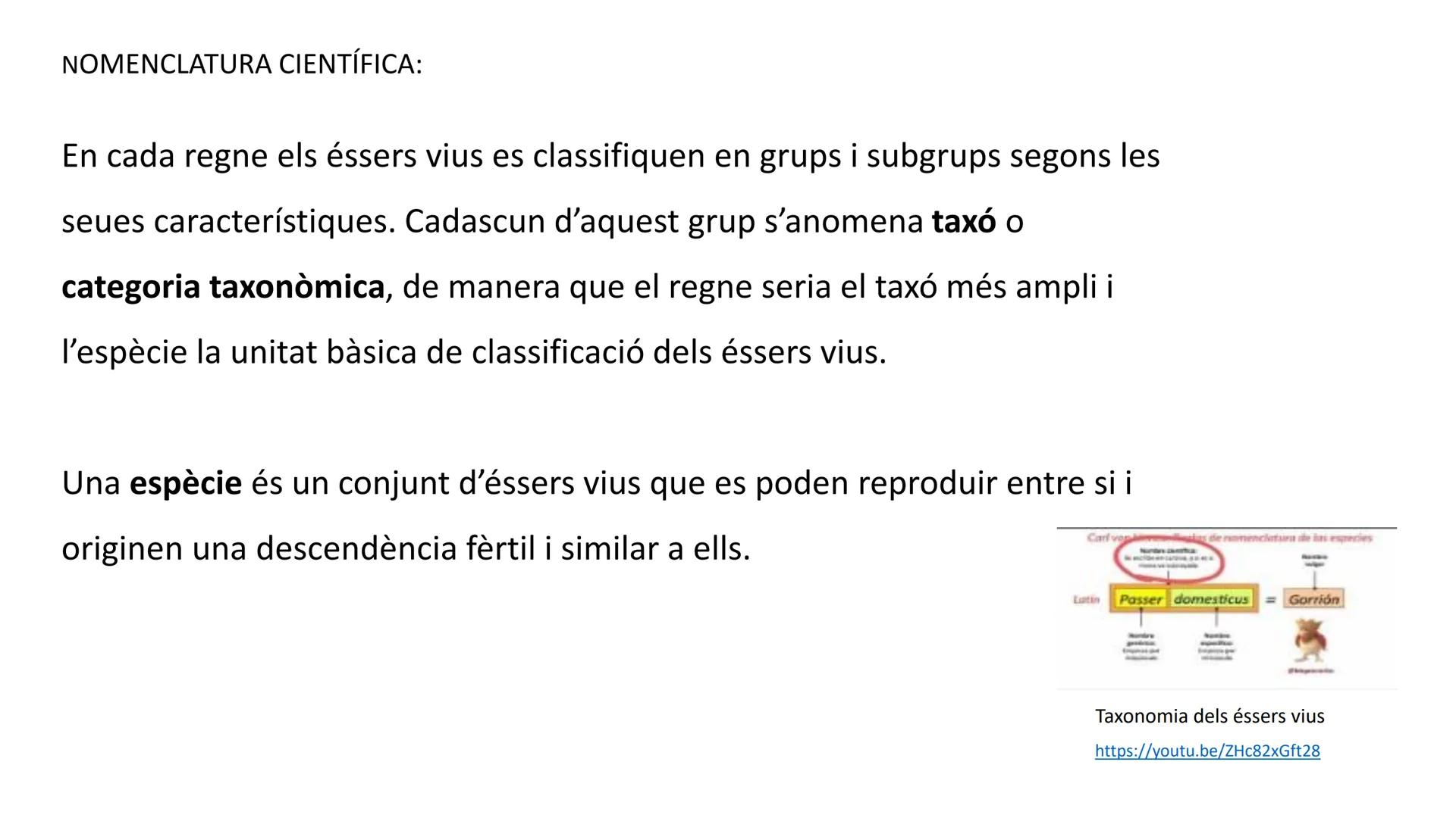 ●
TEMA 2. ELS ÉSSERS VIUS
LA CÈL·LULA
LA CLASSIFICACIÓ DELS ÉSSERS VIUS
ELS VIRUS
LES FUNCIONS VITALS
●
LA REPRODUCCIÓ
LA RELACIÓ
LA NUTRICI