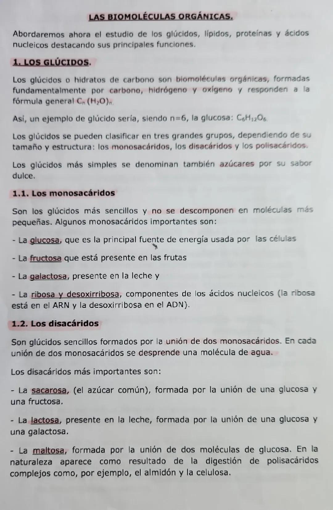 # LAS BIOMOLÉCULAS ORGÁNICAS.

Abordaremos ahora el estudio de los glúcidos, lipidos, proteínas y ácidos
nucleicos destacando sus principale