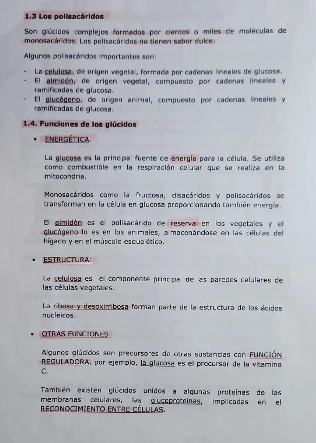 # LAS BIOMOLÉCULAS ORGÁNICAS.

Abordaremos ahora el estudio de los glúcidos, lipidos, proteínas y ácidos
nucleicos destacando sus principale