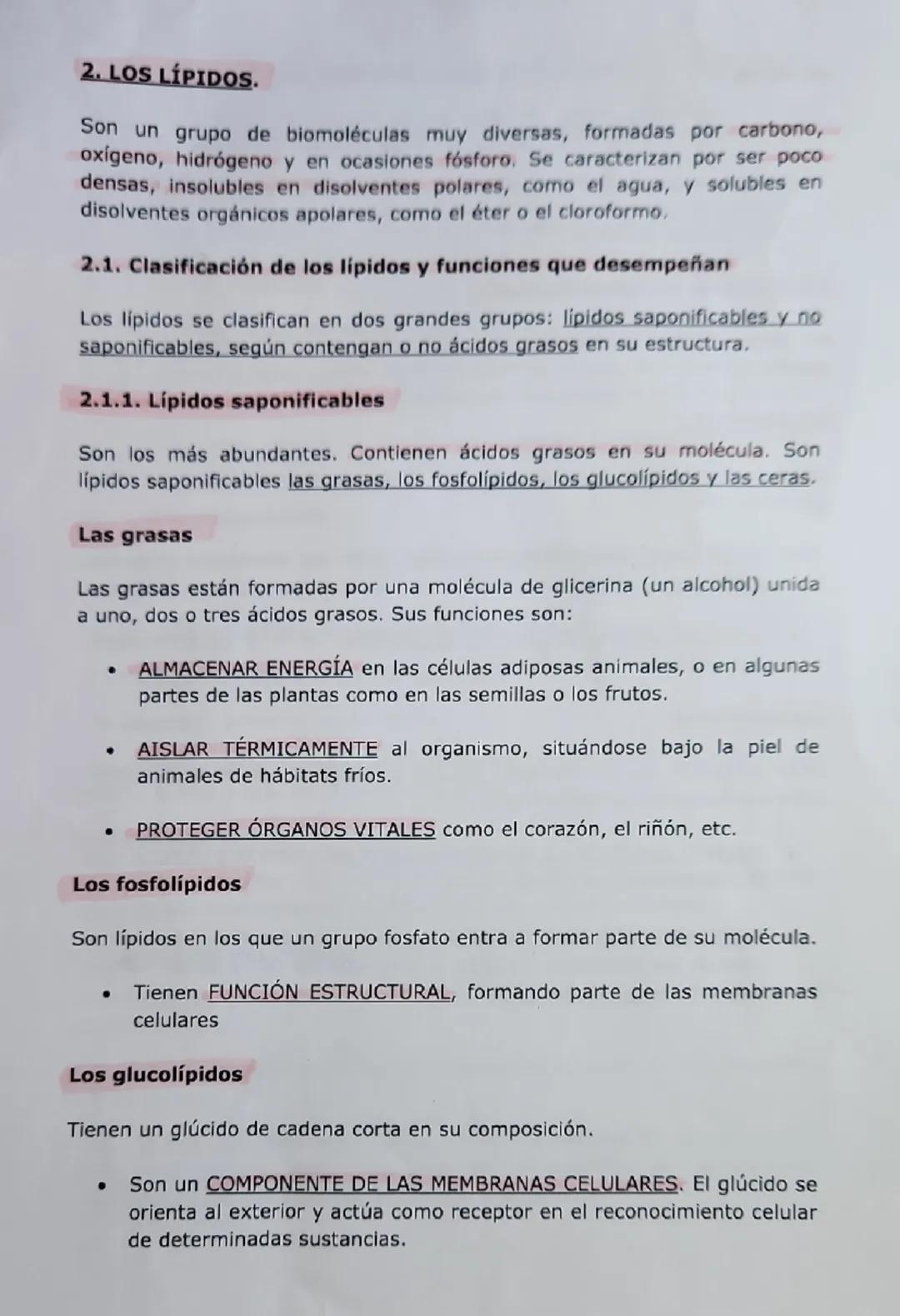 # LAS BIOMOLÉCULAS ORGÁNICAS.

Abordaremos ahora el estudio de los glúcidos, lipidos, proteínas y ácidos
nucleicos destacando sus principale
