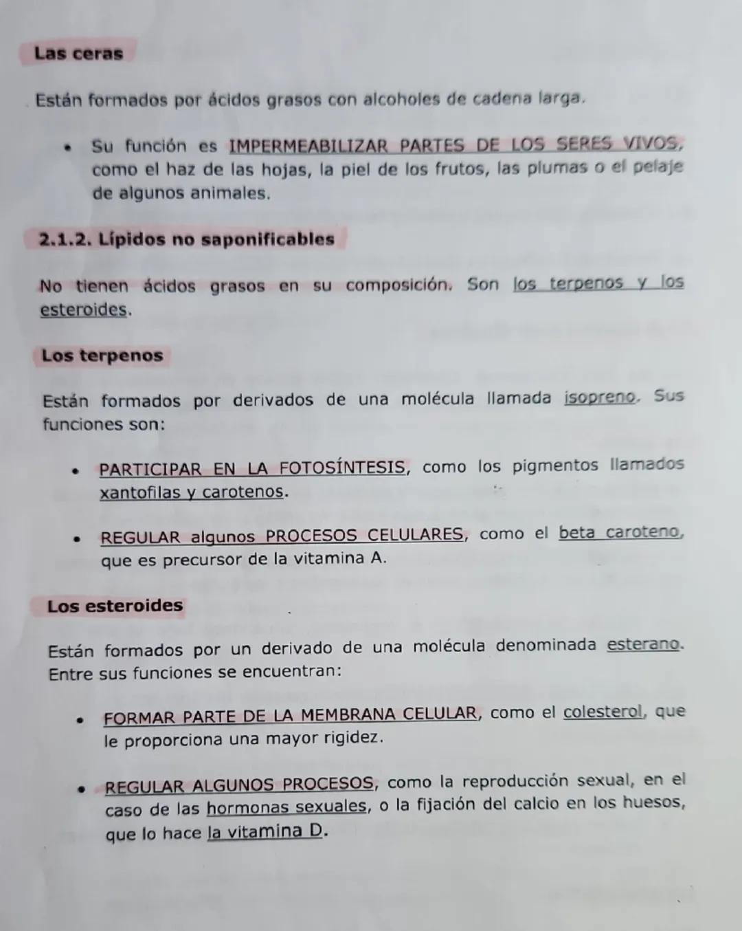 # LAS BIOMOLÉCULAS ORGÁNICAS.

Abordaremos ahora el estudio de los glúcidos, lipidos, proteínas y ácidos
nucleicos destacando sus principale