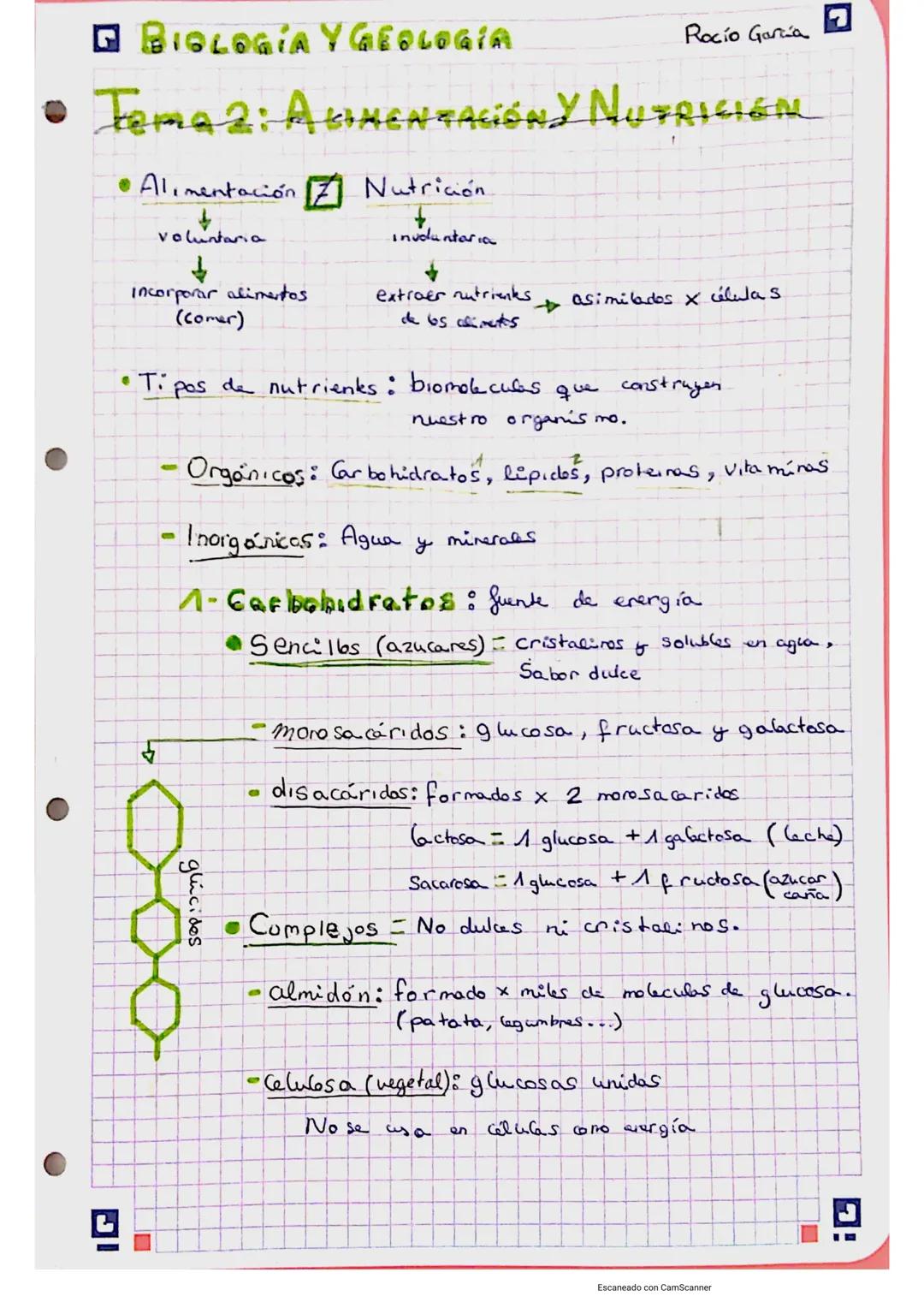 G BIOLOGÍA Y GEOLOGIA
Tema 2: ALIMENTACIÓNY NUTRICIEN
• Alimentación
voluntaria
↓
incorporar alimentos
(comer)
●
-
Nutrición
Tipos de nutrie