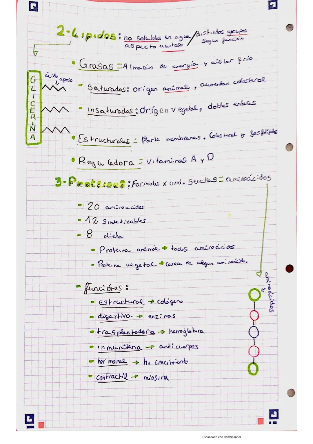G BIOLOGÍA Y GEOLOGIA
Tema 2: ALIMENTACIÓNY NUTRICIEN
• Alimentación
voluntaria
↓
incorporar alimentos
(comer)
●
-
Nutrición
Tipos de nutrie