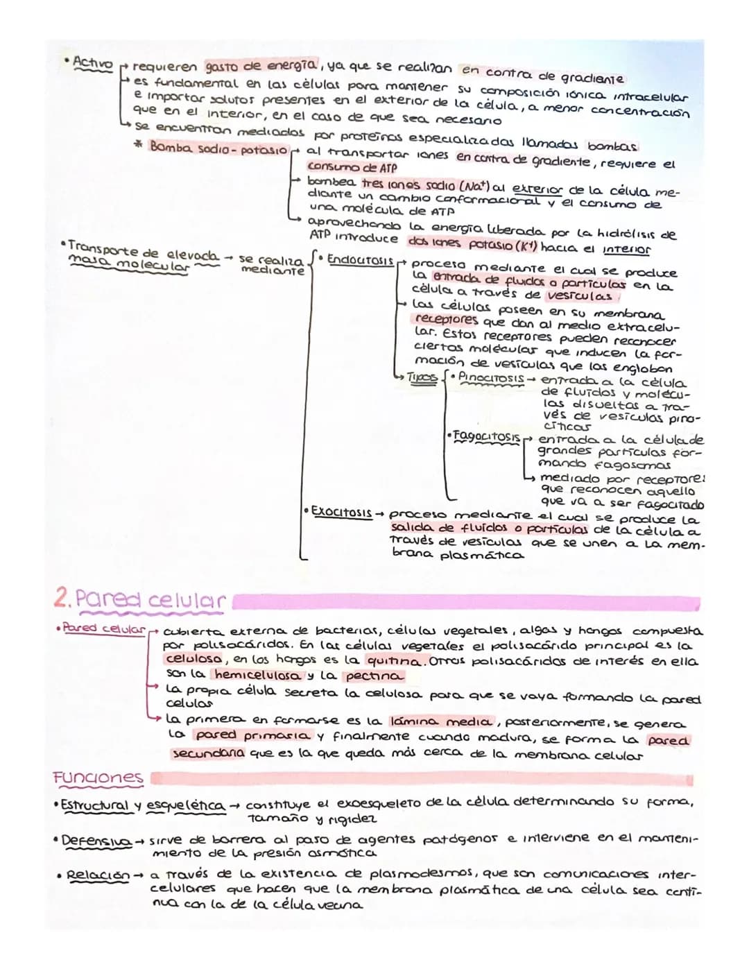 BLOQUE 2
•
6. CELULA EUCARIOTICA Y PROCARIÓTICA
1. Introducción. Teoria celular
Célula → unidad más simple conocida con capacidad para lleva