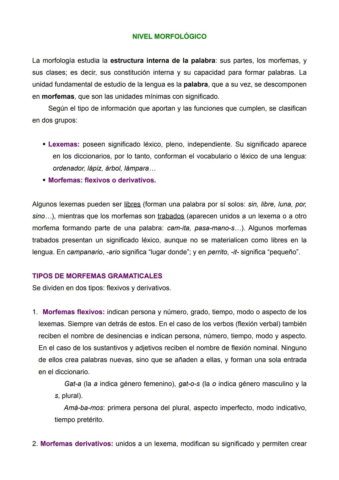 Análisis morfológico