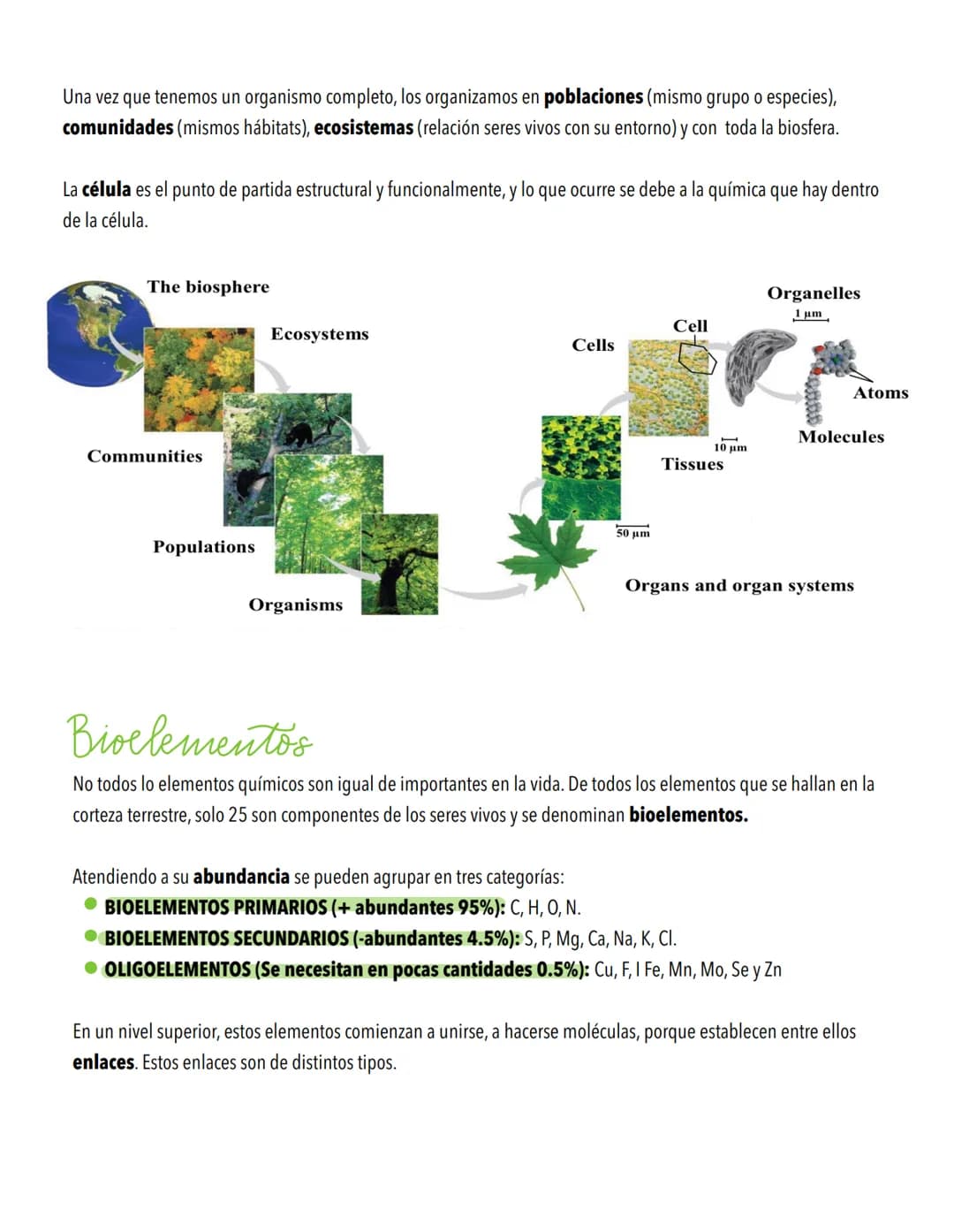TEMA 1
Biomoleculas, constituyentes y nutrientes
TODOS LOS ORGANISMOS NECESITAN UN SUMINISTRO DE ENERGÍA Y DE MATERIALES
Los elementos de la