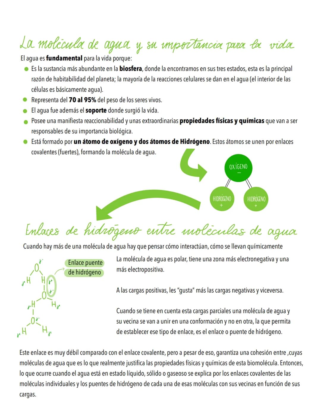 TEMA 1
Biomoleculas, constituyentes y nutrientes
TODOS LOS ORGANISMOS NECESITAN UN SUMINISTRO DE ENERGÍA Y DE MATERIALES
Los elementos de la
