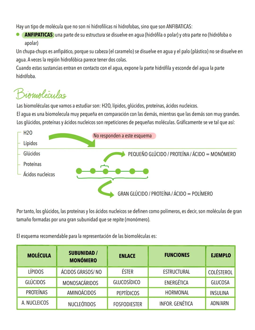 TEMA 1
Biomoleculas, constituyentes y nutrientes
TODOS LOS ORGANISMOS NECESITAN UN SUMINISTRO DE ENERGÍA Y DE MATERIALES
Los elementos de la