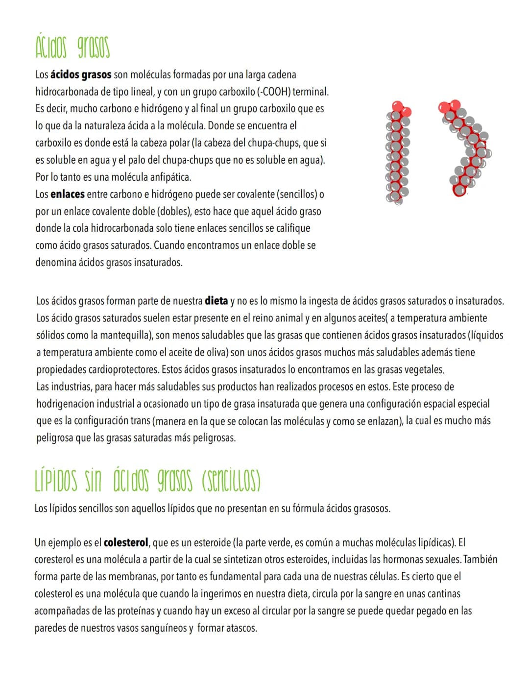 TEMA 1
Biomoleculas, constituyentes y nutrientes
TODOS LOS ORGANISMOS NECESITAN UN SUMINISTRO DE ENERGÍA Y DE MATERIALES
Los elementos de la