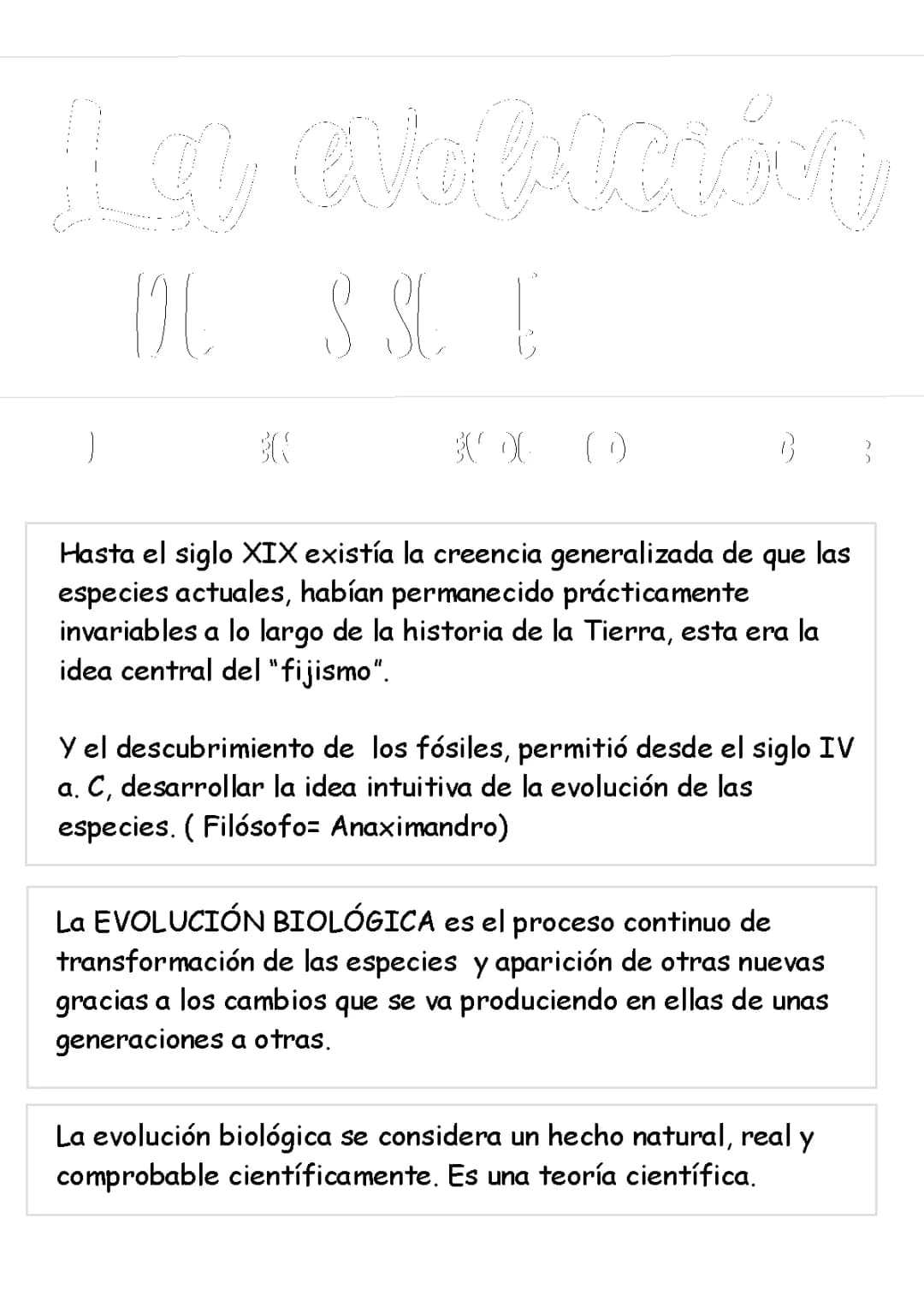 Descubre 5 Pruebas de la Evolución y el Ancestro Común