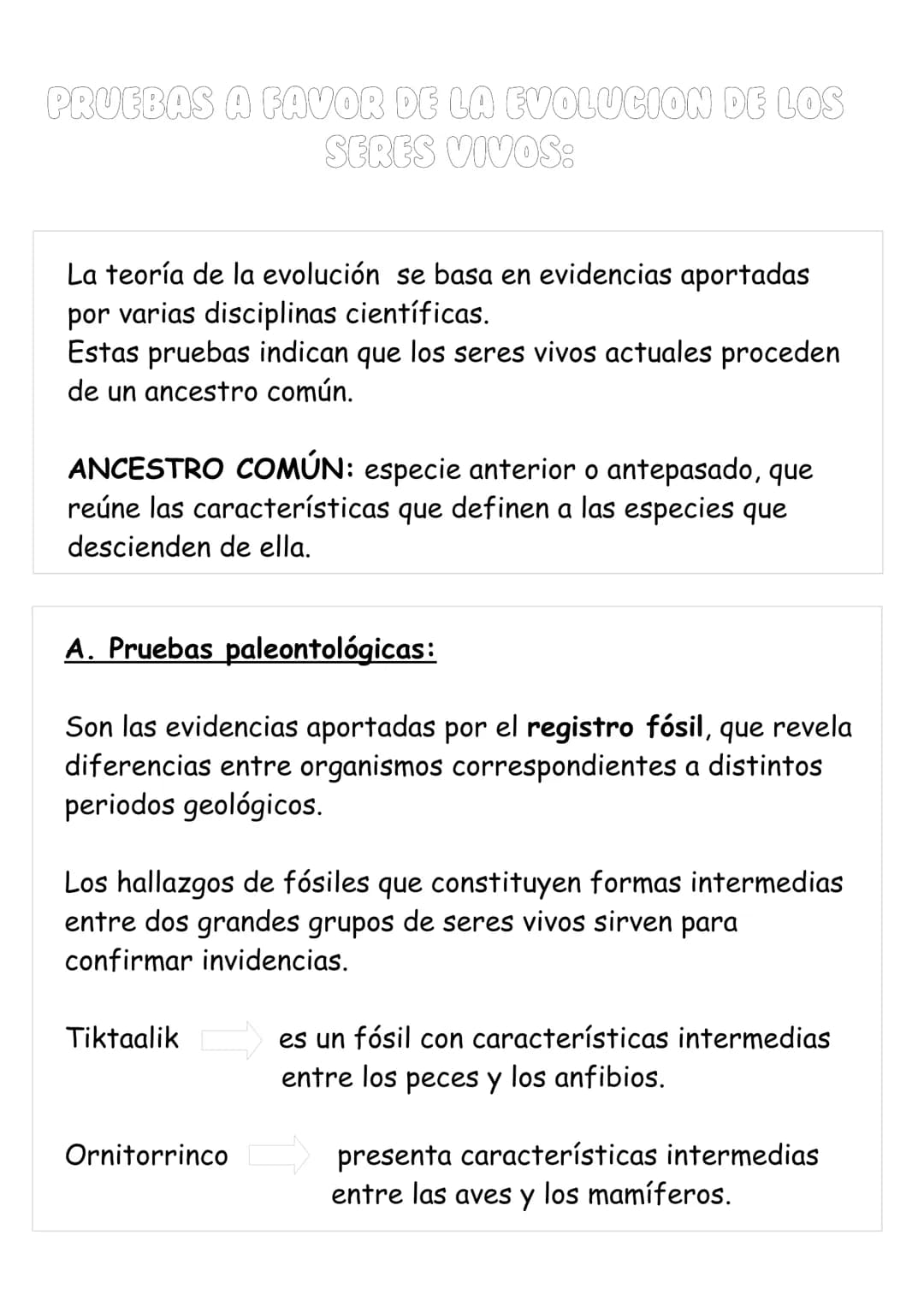 La col·lation
DE LOS SERES VIVOS
FIJISMOS FRENTE A LA EVOLUCION BIOLOGICA:
Hasta el siglo XIX existía la creencia generalizada de que las
es