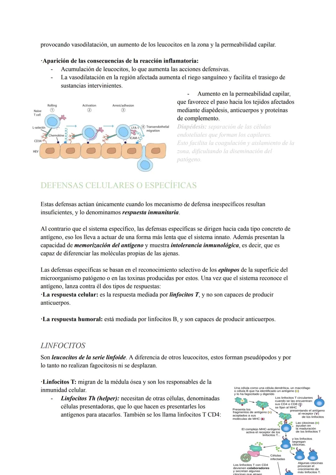 INMUNOLOGÍA
El sistema inmunitario es el conjunto de órganos compuestos por los mismos tejidos, cuyas funciones
principales se basan en repe