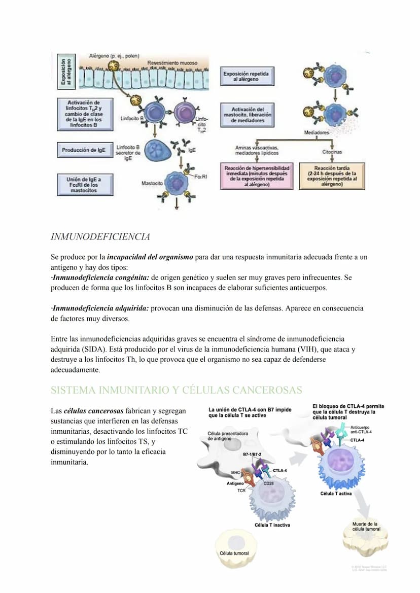 INMUNOLOGÍA
El sistema inmunitario es el conjunto de órganos compuestos por los mismos tejidos, cuyas funciones
principales se basan en repe