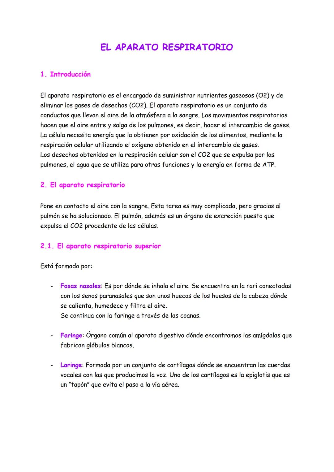Función y Cuidados del Aparato Respiratorio