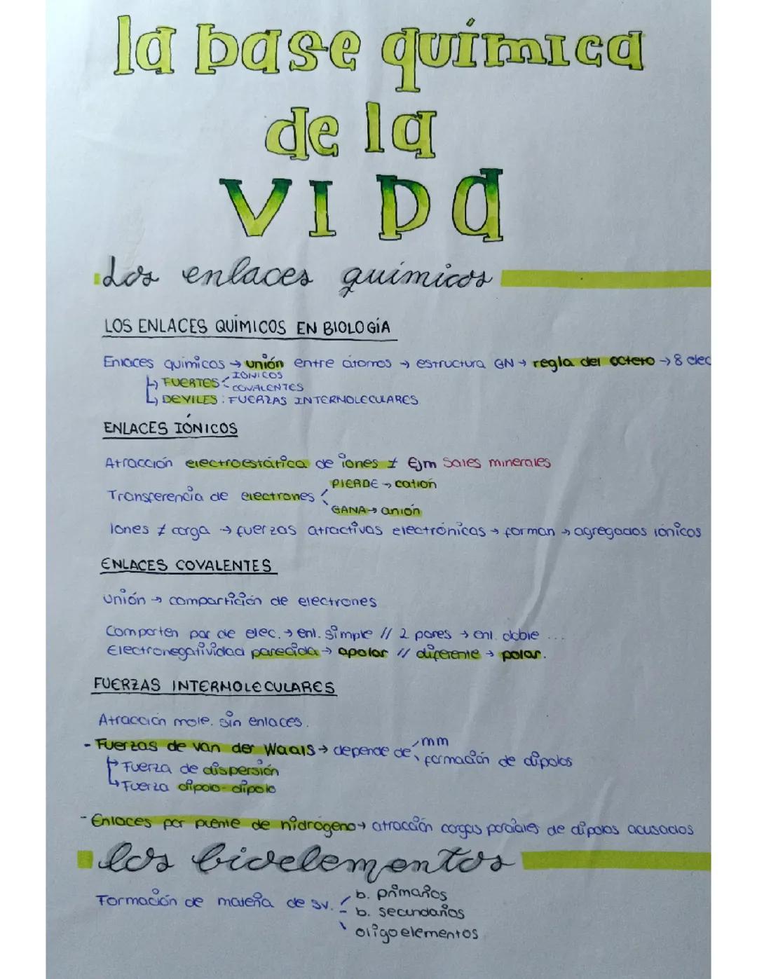 Entendiendo la Química de la Vida