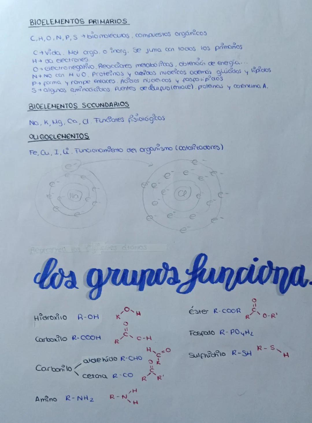 -
la base química
de la
VI DO
Los enlaces quimicos
LOS ENLACES QUIMICOS EN BIOLOGIA
->
Enlaces químicos → unión entre atomos → estructura GN