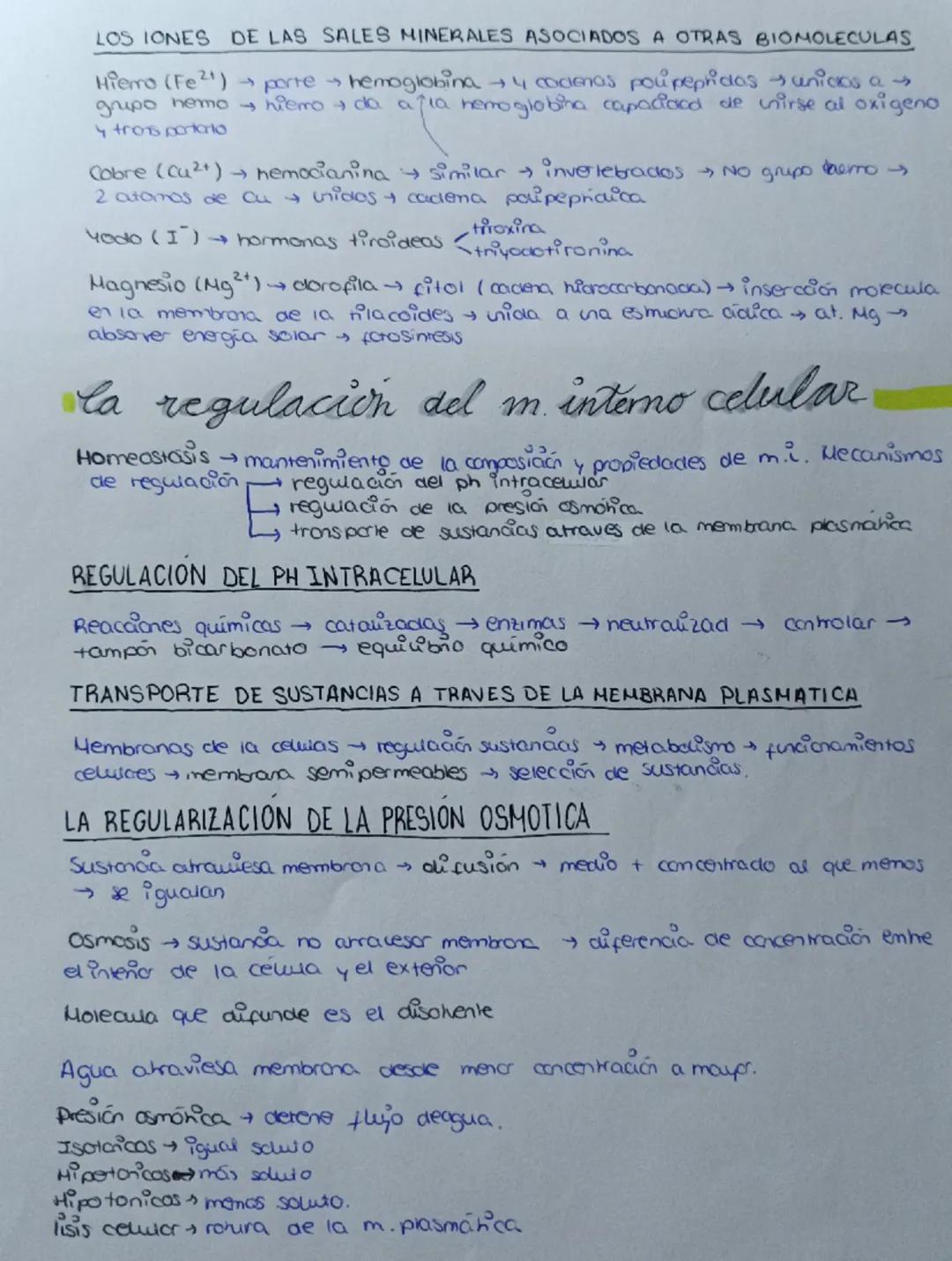 -
la base química
de la
VI DO
Los enlaces quimicos
LOS ENLACES QUIMICOS EN BIOLOGIA
->
Enlaces químicos → unión entre atomos → estructura GN