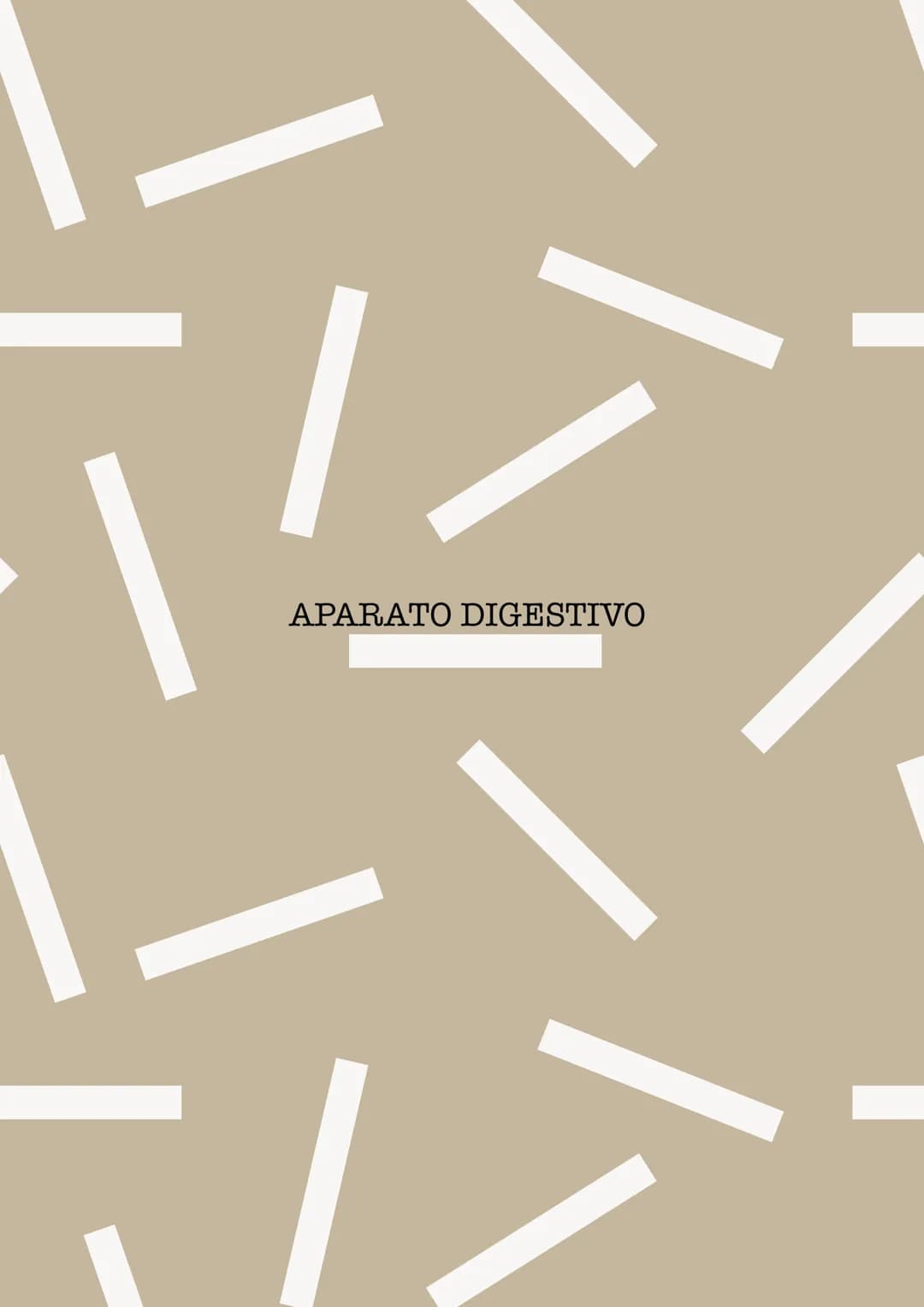 APARATO DIGESTIVO PRINCIPIOS ANATOMOFISIOLOGICOS DEL APARATO DIGESTIVO
FORMADO POR UN CONJUNTO DE ÓRGANOS QUE SON:
- BOCA
FARINGE
- ESOFAGO

