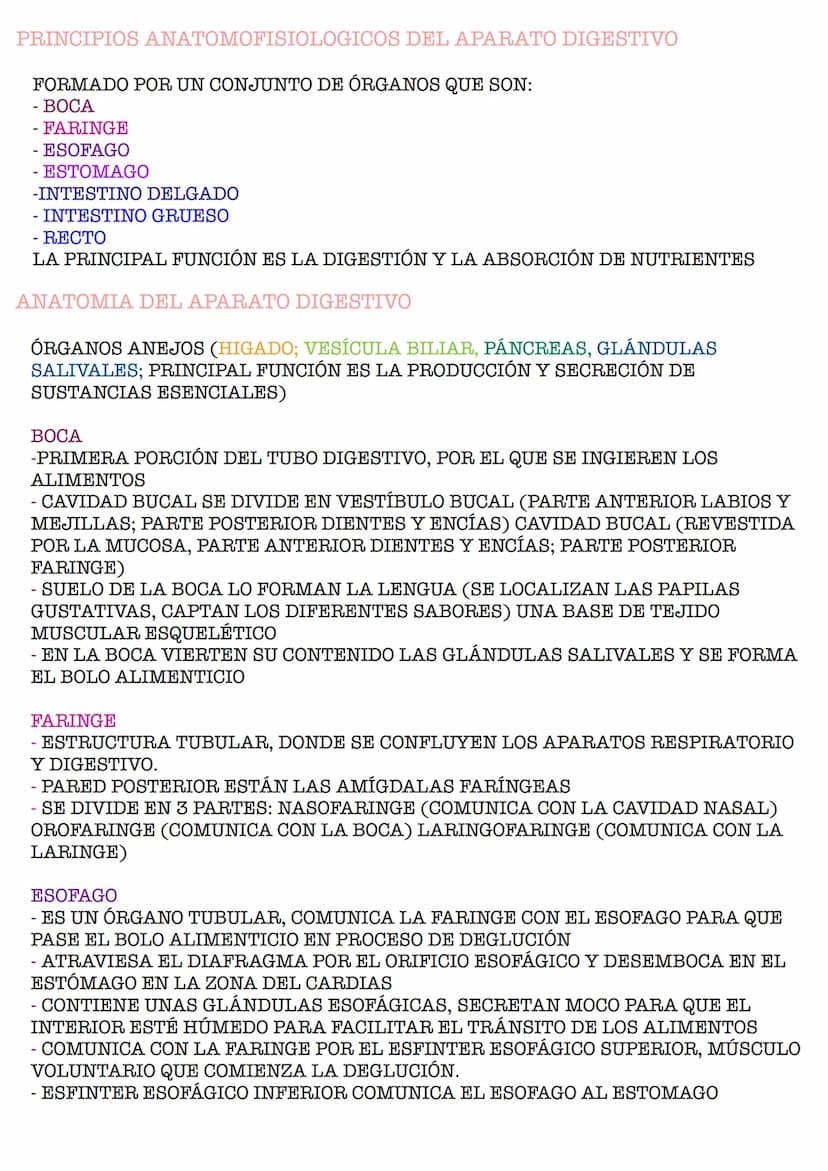 APARATO DIGESTIVO PRINCIPIOS ANATOMOFISIOLOGICOS DEL APARATO DIGESTIVO
FORMADO POR UN CONJUNTO DE ÓRGANOS QUE SON:
- BOCA
FARINGE
- ESOFAGO
