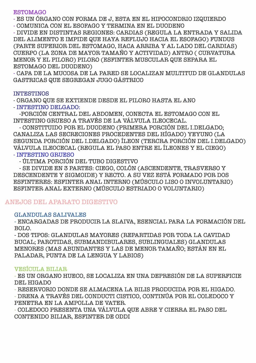 APARATO DIGESTIVO PRINCIPIOS ANATOMOFISIOLOGICOS DEL APARATO DIGESTIVO
FORMADO POR UN CONJUNTO DE ÓRGANOS QUE SON:
- BOCA
FARINGE
- ESOFAGO
