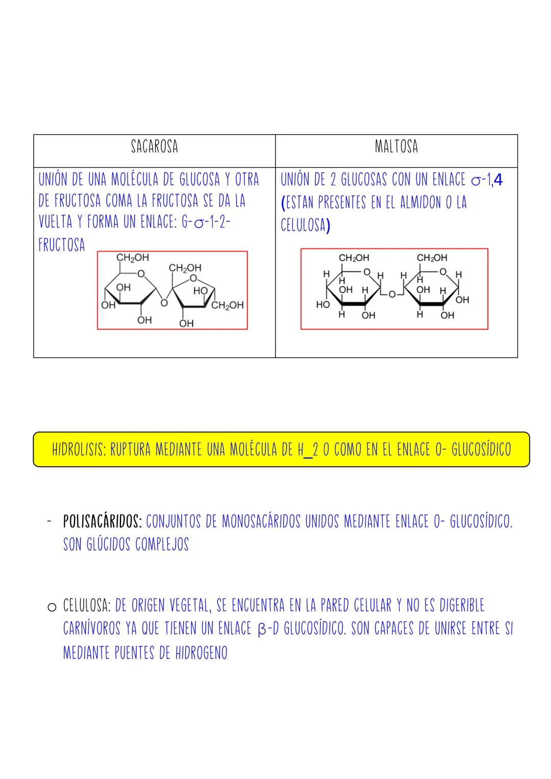 1.
TEMA 5: BASE MOLECULAR DE LA VIDA
NIVELES DE ORGANIZACIÓN DE LA MATERIA
1.1
CARACTERISTICAS DE LOS SERES VIVOS
2. CONSTITUYENTES DE LOS S