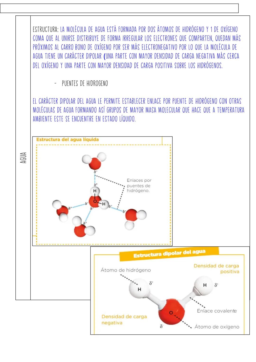 1.
TEMA 5: BASE MOLECULAR DE LA VIDA
NIVELES DE ORGANIZACIÓN DE LA MATERIA
1.1
CARACTERISTICAS DE LOS SERES VIVOS
2. CONSTITUYENTES DE LOS S