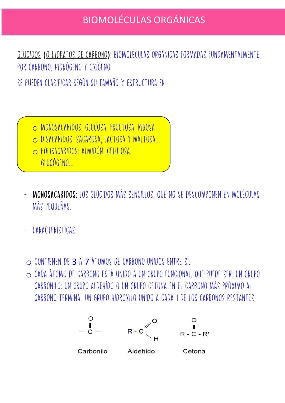 1.
TEMA 5: BASE MOLECULAR DE LA VIDA
NIVELES DE ORGANIZACIÓN DE LA MATERIA
1.1
CARACTERISTICAS DE LOS SERES VIVOS
2. CONSTITUYENTES DE LOS S