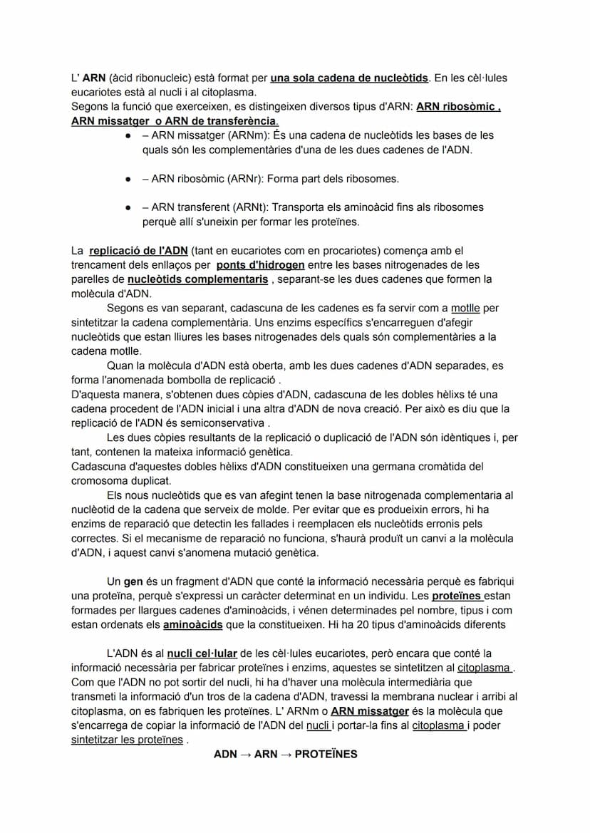 La informació genètica: els àcids nucleics
Tots els éssers vius tenen dos tipus d'àcids nucleics: I' ADN i l' ARN.
L'ADN (àcid desoxiribonuc