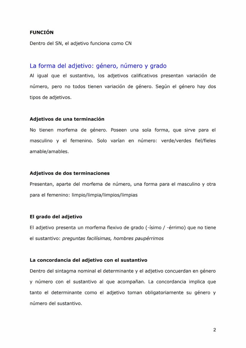 SN: EL COMPLEMENTO DEL NOMBRE
Los elementos del SN
Recordemos la estructura del sintagma nominal:
MORFOLÓGICAMENTE
FORMA: tipo de palabra
Mi