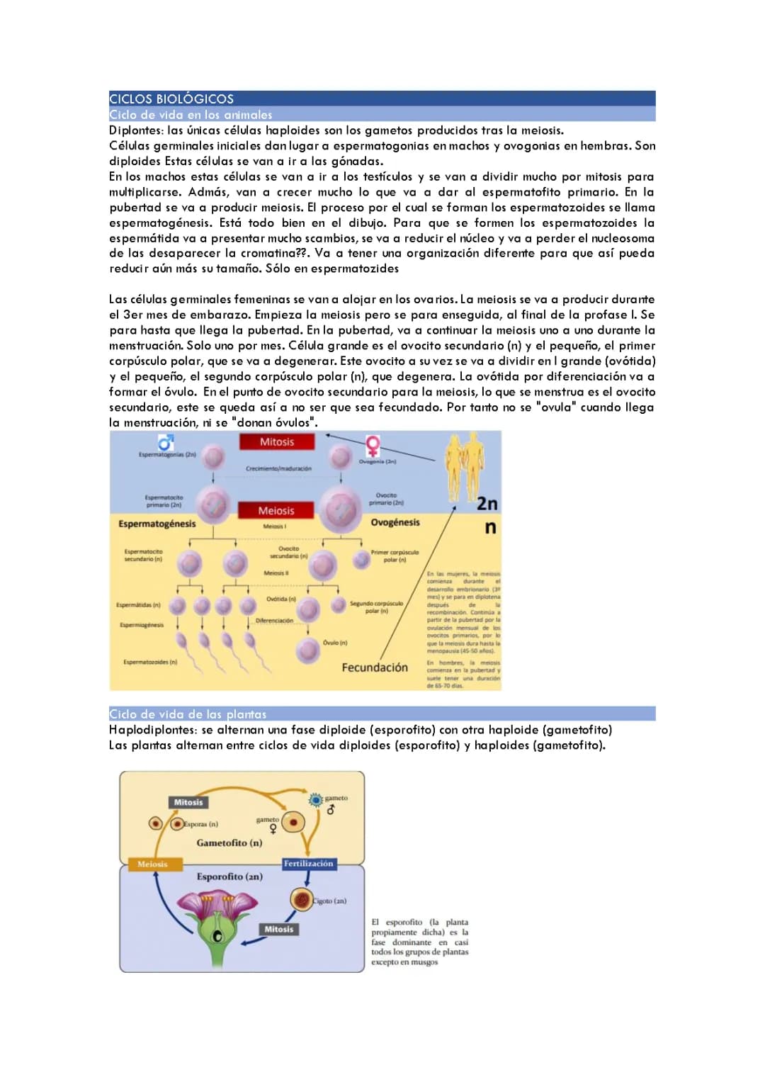 BIOLOGÍA. Genética mendeliana
