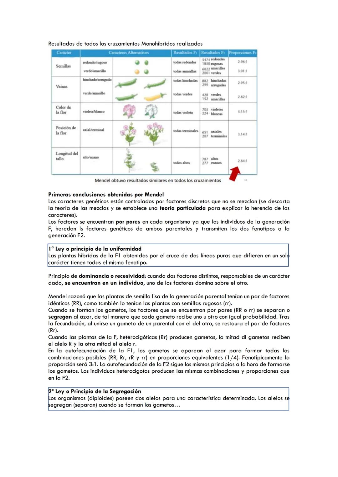CICLOS BIOLÓGICOS
Ciclo de vida en los animales
Diplontes: las únicas células haploides son los gametos producidos tras la meiosis.
Células 