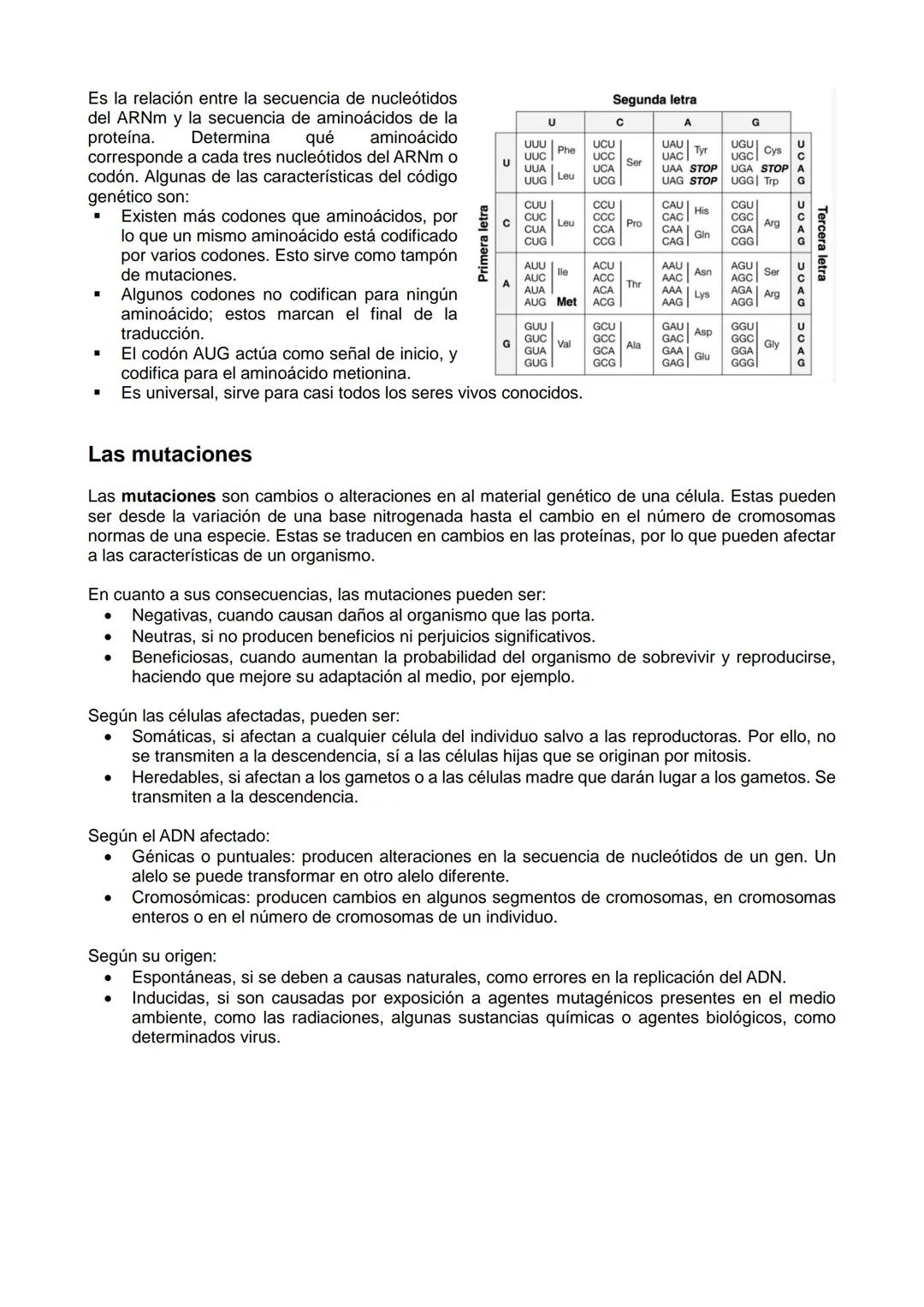 # LOS ÁCIDOS NUCLEICOS

EI ADN y los ácidos nucleicos

EI ADN o ácido desoxirribonucleico es la molécula que almacena la información genétic
