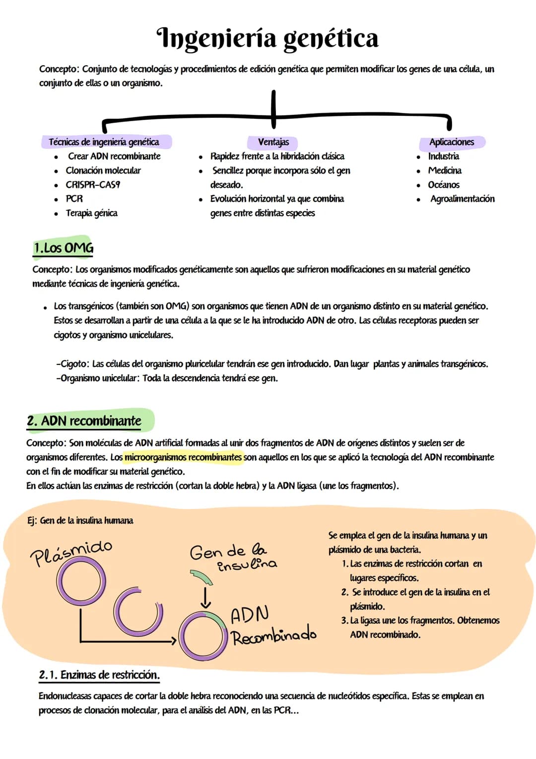 Ingeniería genética
Concepto: Conjunto de tecnologías y procedimientos de edición genética que permiten modificar los genes de una célula, u