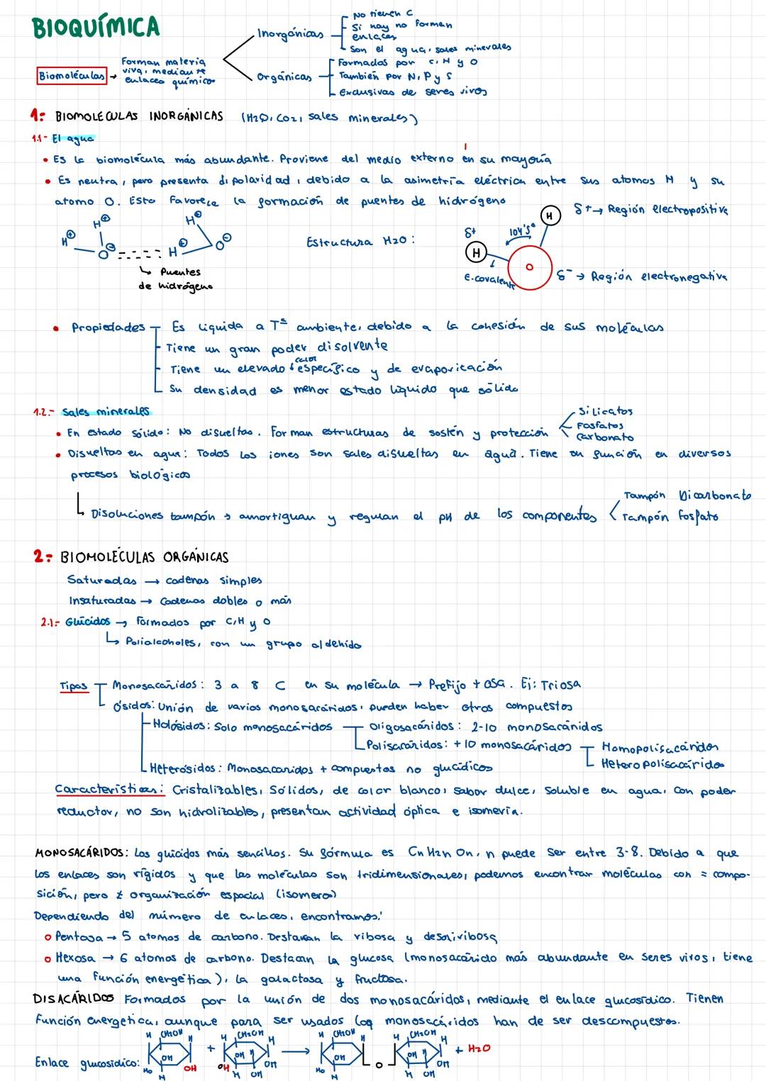 BIOQUÍMICA
Forman materia
viva, mediant
Biomoléculas enlaces químicos
40
●
1: BIOMOLECULAS INORGANICAS (H₂D, CO₂, sales minerales)
1.1- El a