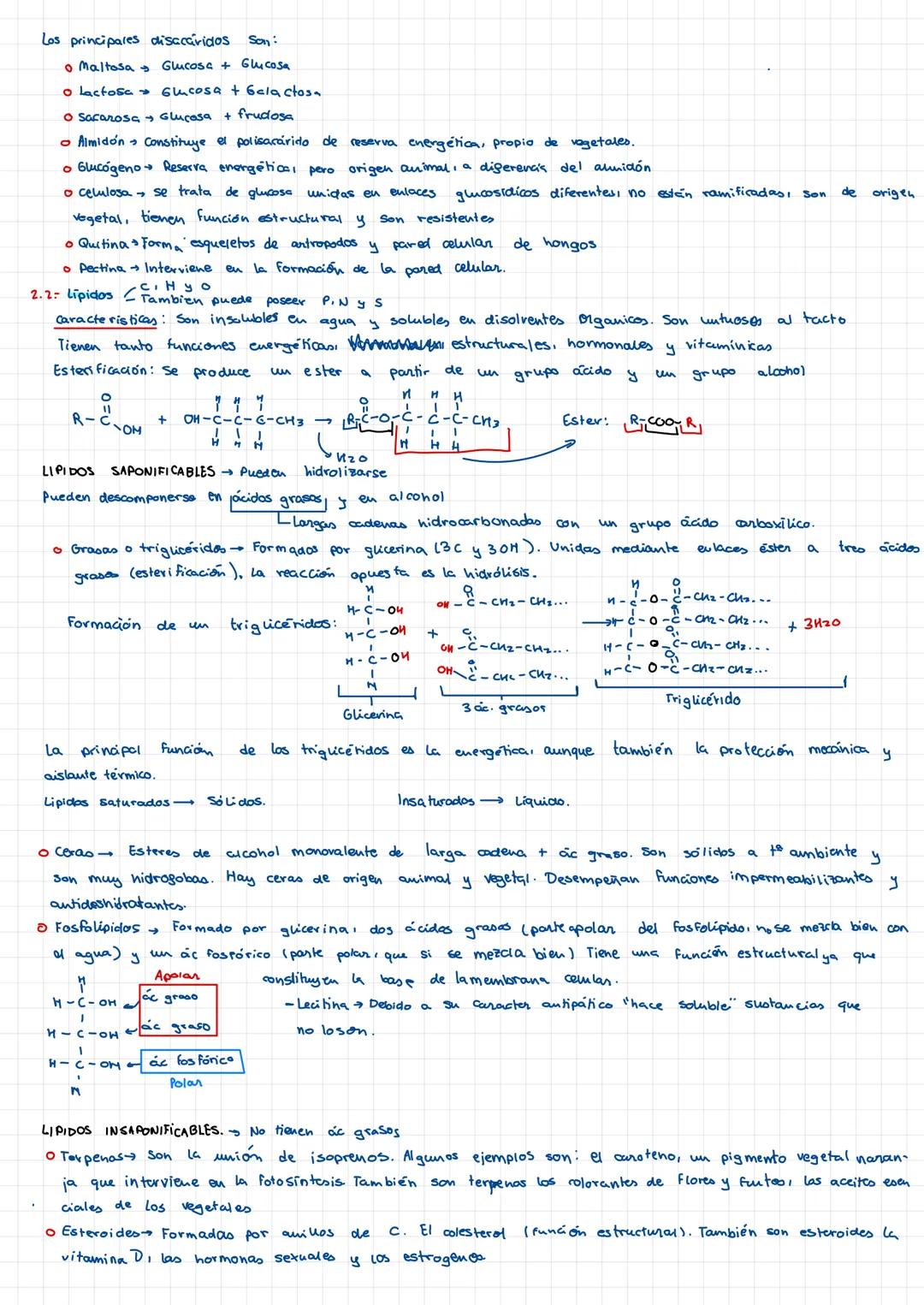 BIOQUÍMICA
Forman materia
viva, mediant
Biomoléculas enlaces químicos
40
●
1: BIOMOLECULAS INORGANICAS (H₂D, CO₂, sales minerales)
1.1- El a