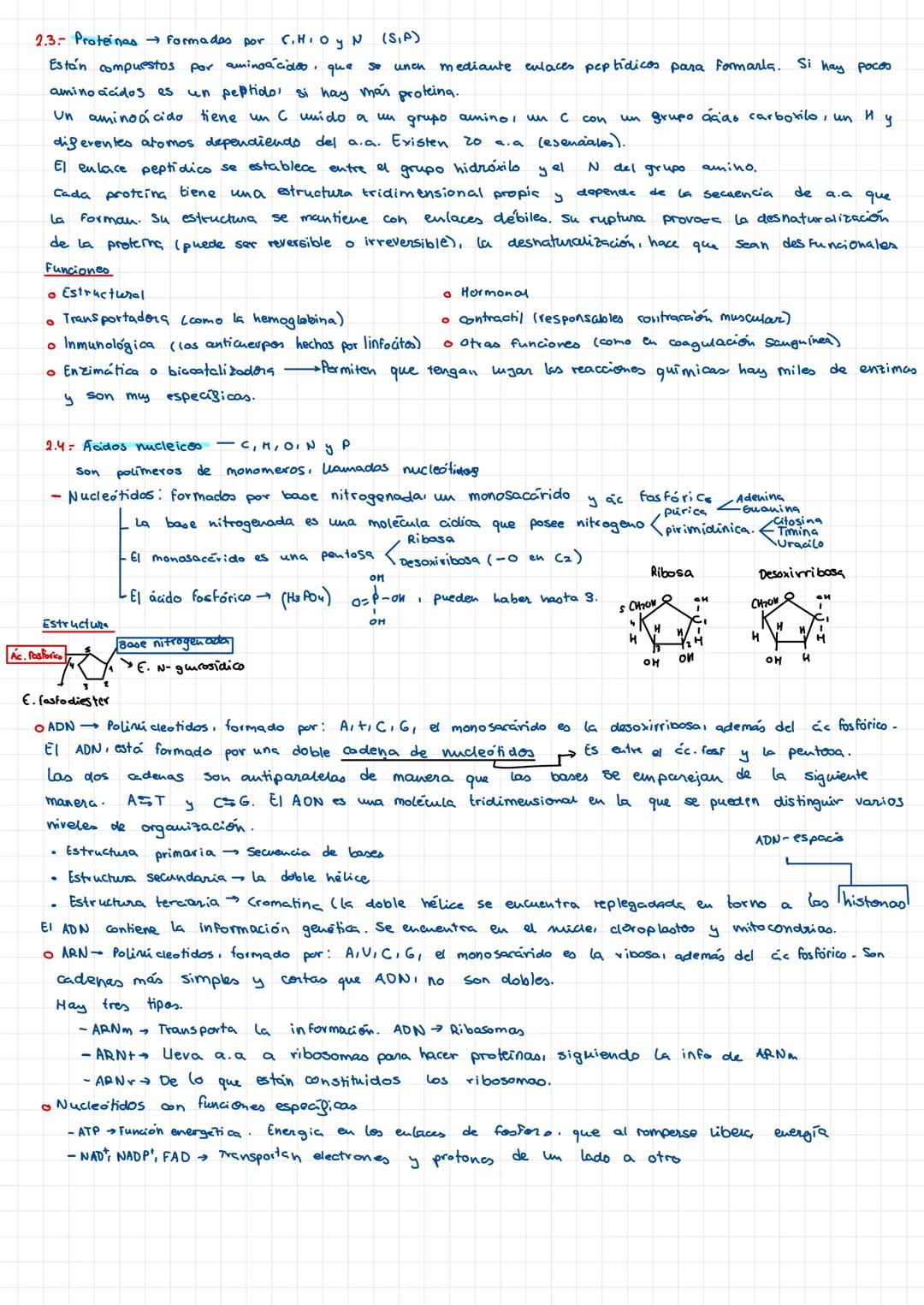 BIOQUÍMICA
Forman materia
viva, mediant
Biomoléculas enlaces químicos
40
●
1: BIOMOLECULAS INORGANICAS (H₂D, CO₂, sales minerales)
1.1- El a