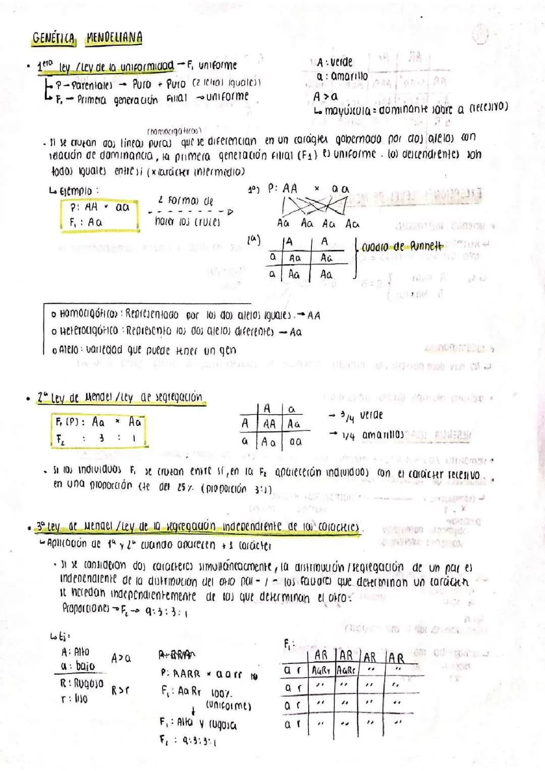 Leyes de Mendel