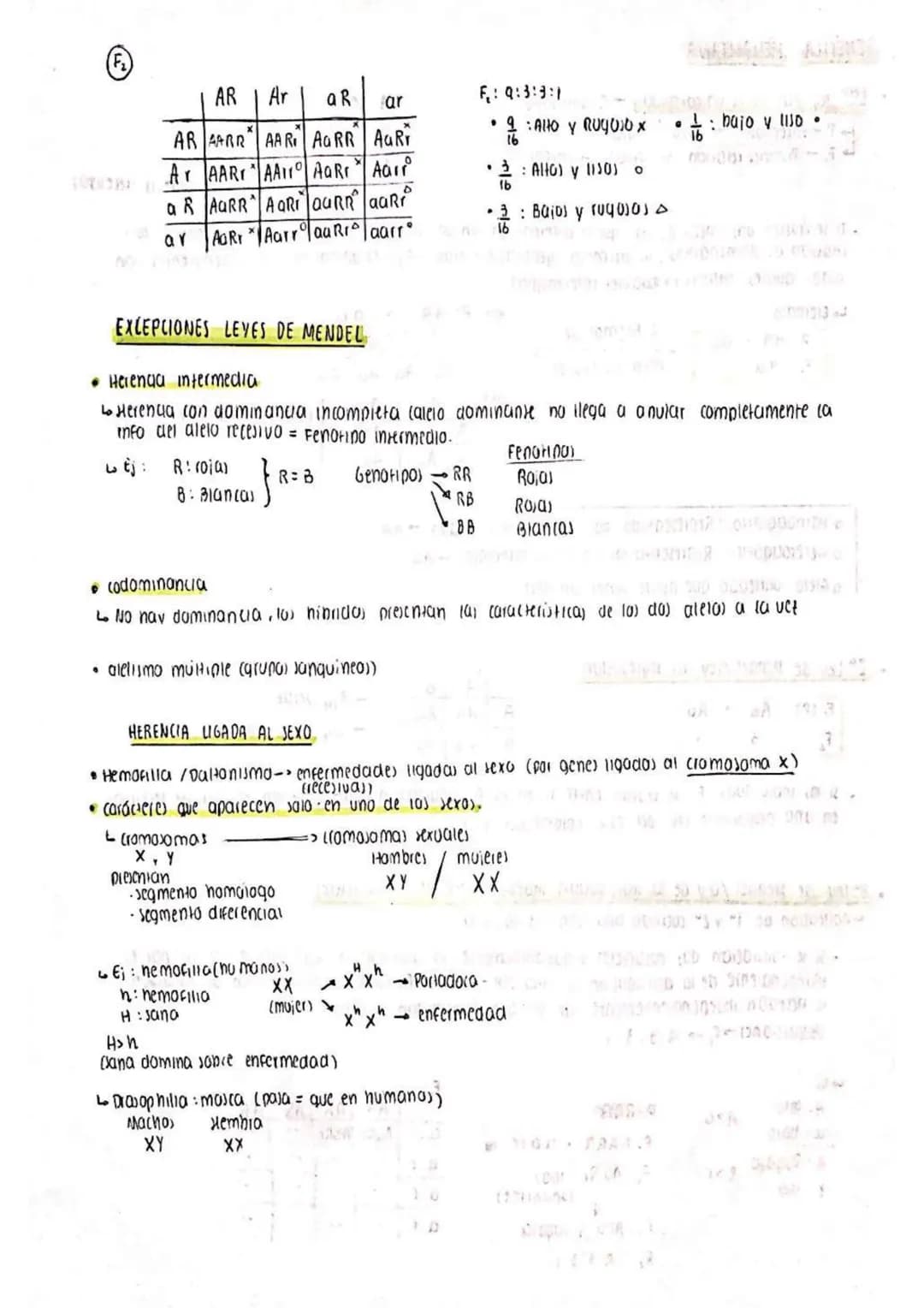 GENETICA MENDELIANA
1era ley /Ley de la uniformidad -F, uniforme
P-Parentales Puro + Puro (2 letra) iguale))
F. - Primera generacion Fillal 