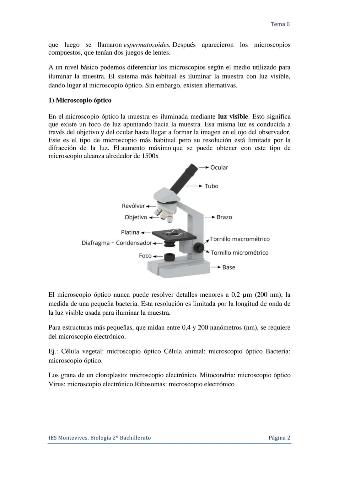Tema 6 La Célula. Núcleo celular
I. La Célula: unidad de estructura y función
Una célula es la unidad morfológica y funcional de todo ser vi