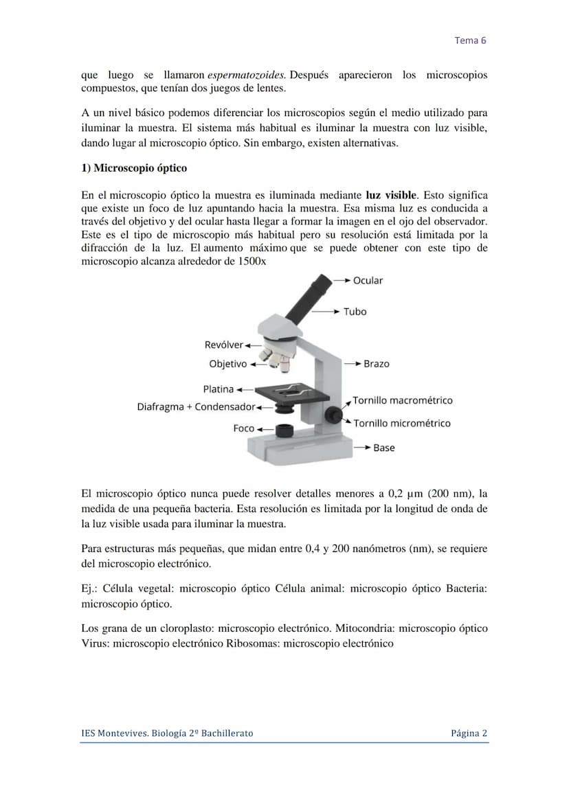 Tema 6 La Célula. Núcleo celular
I. La Célula: unidad de estructura y función
Una célula es la unidad morfológica y funcional de todo ser vi