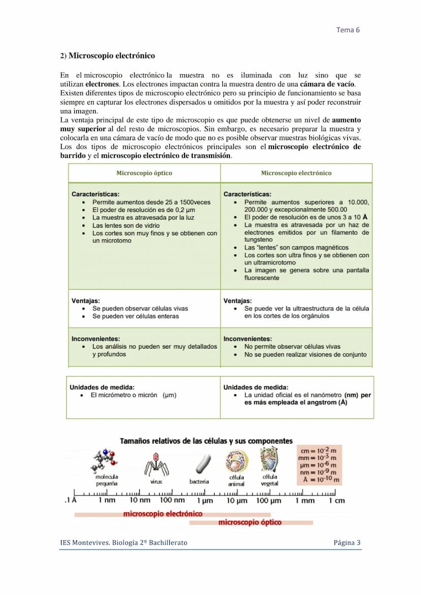 Tema 6 La Célula. Núcleo celular
I. La Célula: unidad de estructura y función
Una célula es la unidad morfológica y funcional de todo ser vi