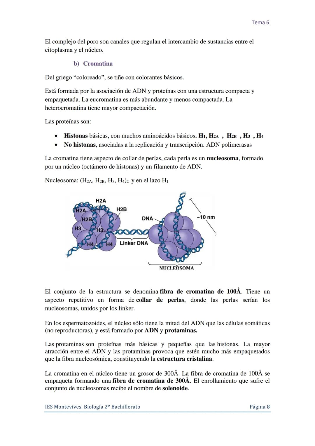 Tema 6 La Célula. Núcleo celular
I. La Célula: unidad de estructura y función
Una célula es la unidad morfológica y funcional de todo ser vi