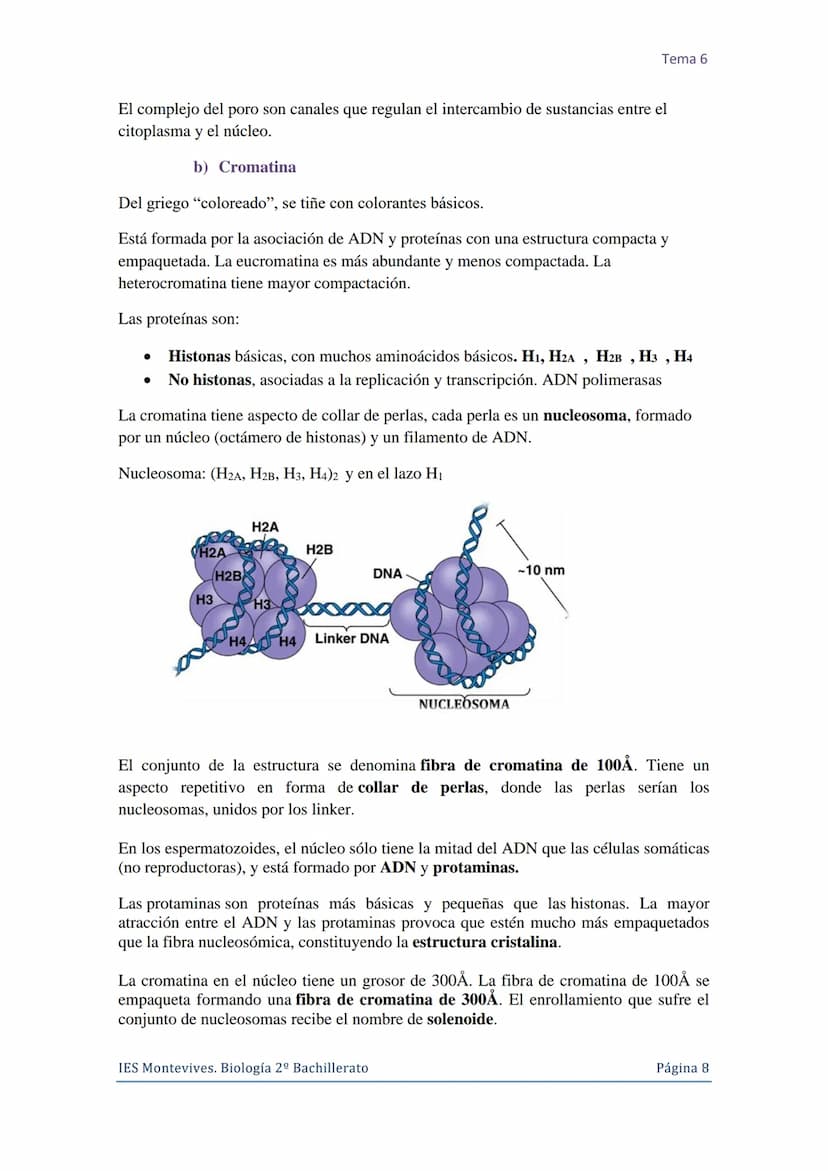 Tema 6 La Célula. Núcleo celular
I. La Célula: unidad de estructura y función
Una célula es la unidad morfológica y funcional de todo ser vi