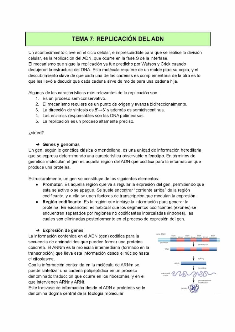 Know APUNTES DE REPLICACIÓN DEL ADN BIOLOGÍA thumbnail